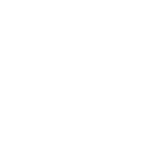 Servicio Técnico Rheem